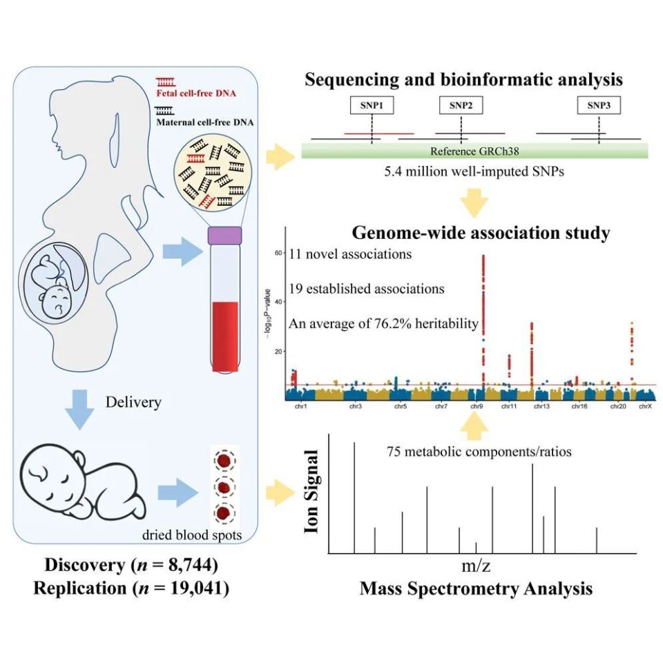 怎么鉴定呼吸套装真伪关乎母婴健康刻不容缓 ｜ Cell Genomics无创产前检测特刊_https://www.jmylbn.com_新闻资讯_第9张