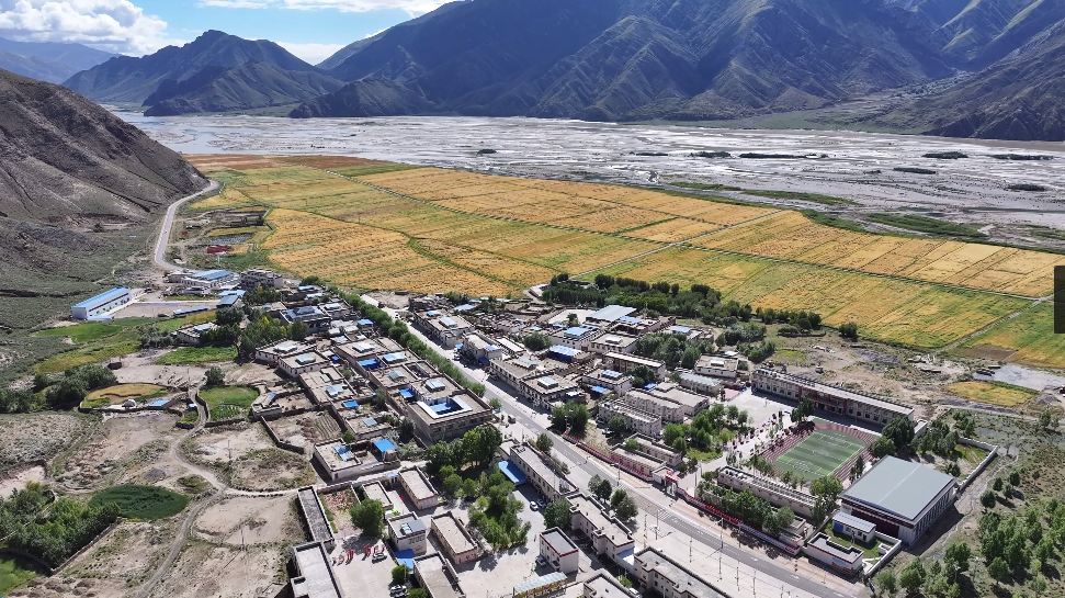 谢通门县:农业机械化 助力农牧民增收