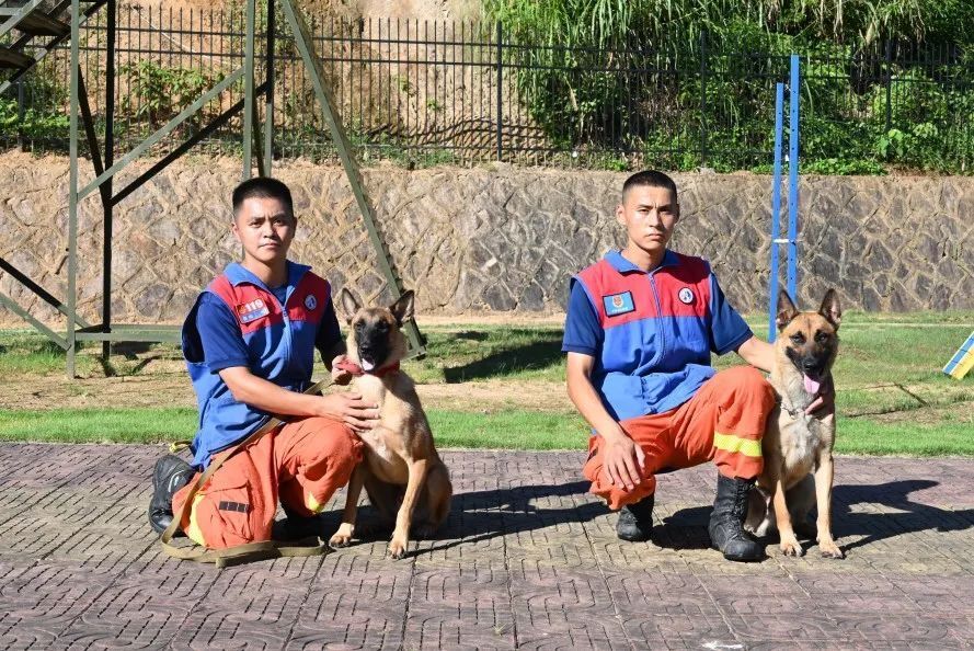 再添"神犬奇兵"丨"元霸""枭龙"前来报到