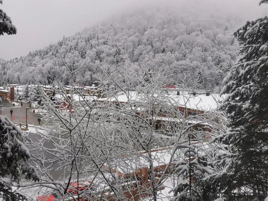 池店镇下雪图片