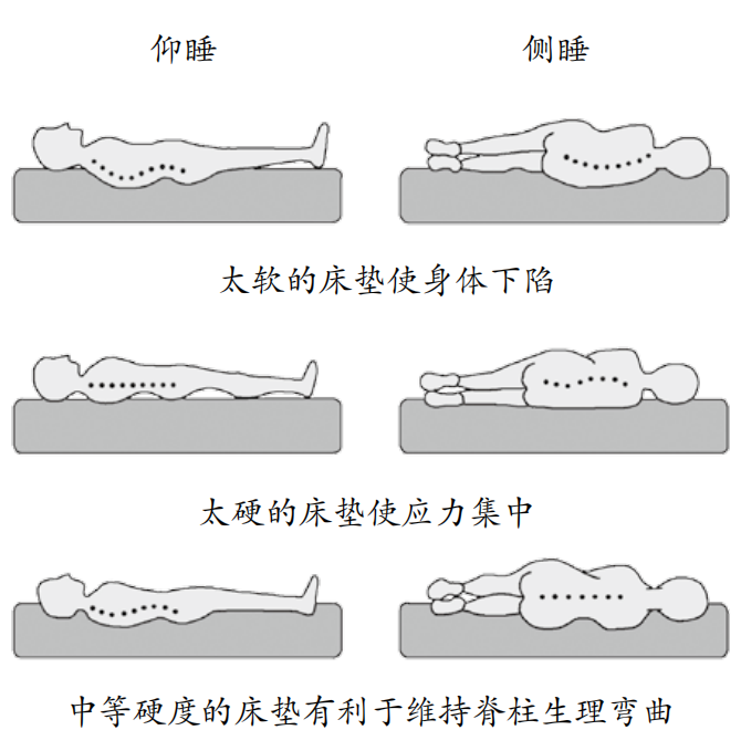 睡觉平躺腰部悬空图片图片