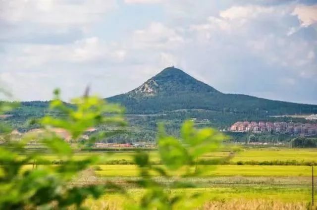祝贺!延边荣获"年度美好·焕新城市"称号_腾讯新闻