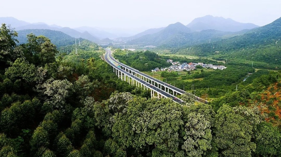 東北大學自考多少錢_2024年東北大學自考專業錄取分數線（2024各省份錄取分數線及位次排名）_東北自考大學有哪些