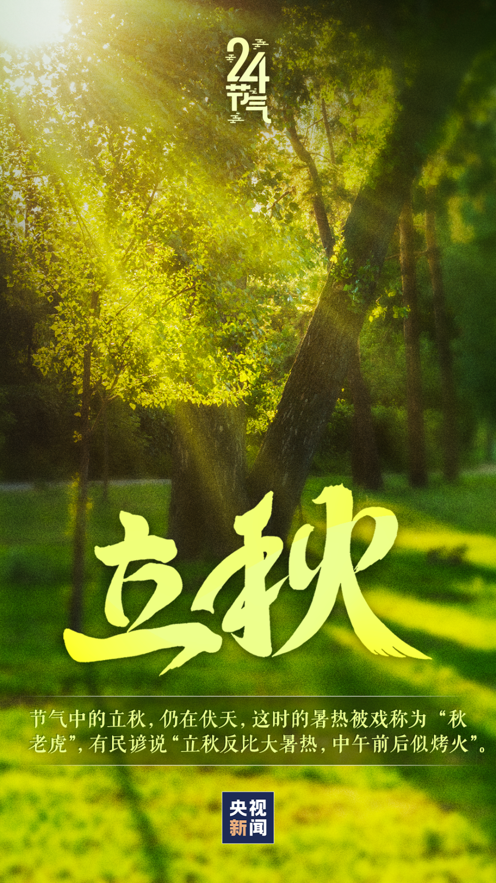 今日,立秋