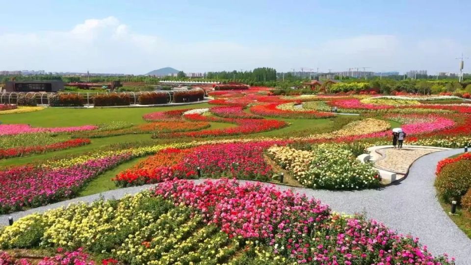 第二届世界月季博览会将于4月28日至5月5日在南阳举办_腾讯新闻