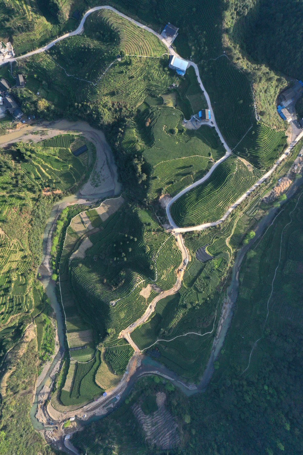 湖南风物志·茶宇宙