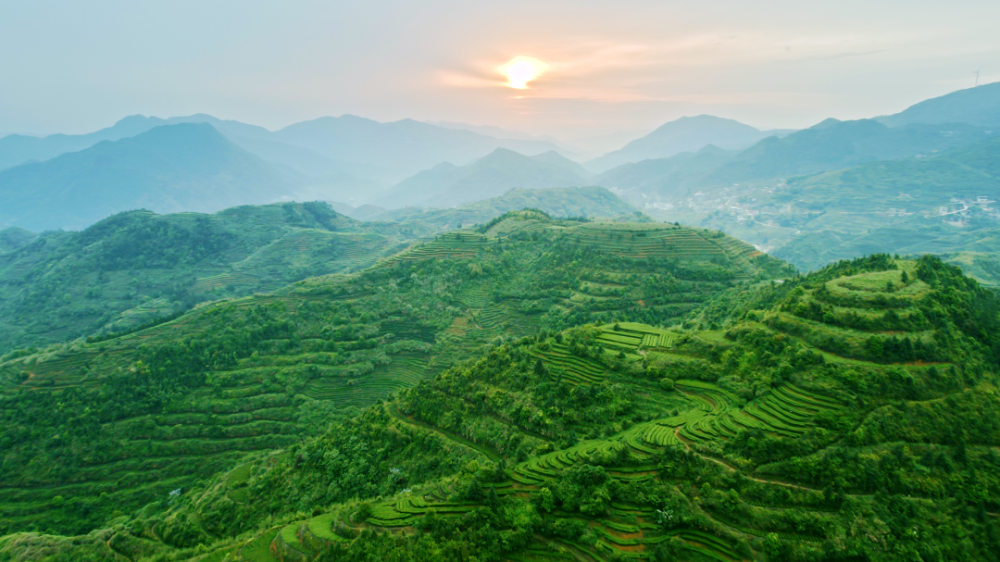 【遇见春茶】走进八马茶业安溪总工厂 ,赴一场会回甘的约