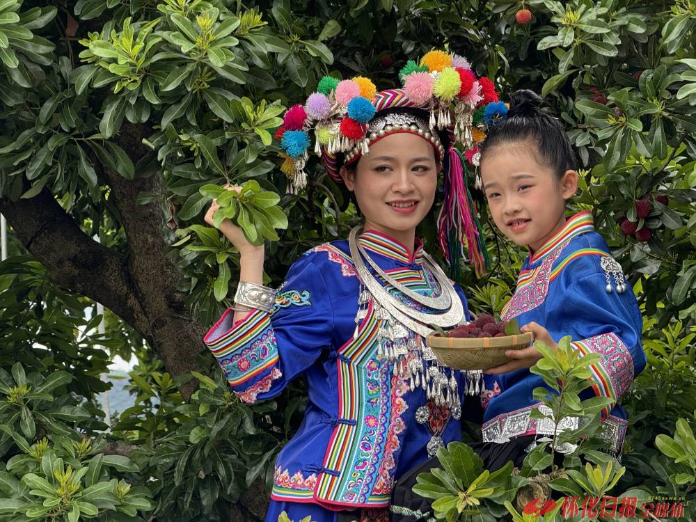 嗨购福地怀化"2024怀化消费促进季(夏季)启动式暨湖南·靖州杨梅节