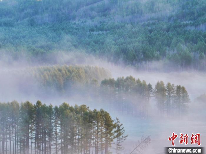 雾起大兴安岭 "中国冷极"秒变仙境_腾讯新闻