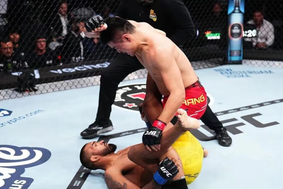 回顾散打出身的ufc大级别冠军横空出世名扬天下