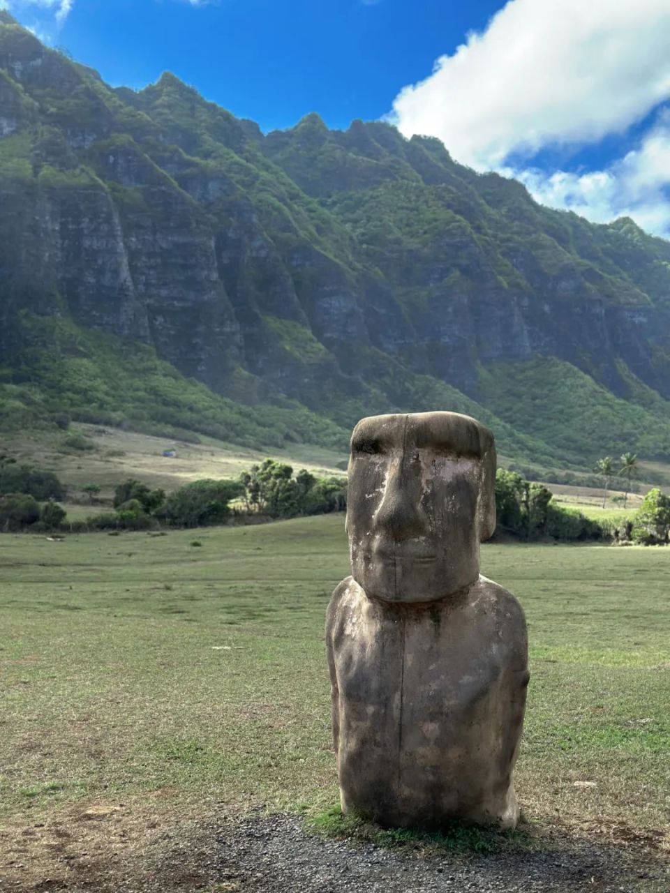 夏威夷其实是绿色的!_腾讯新闻