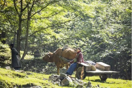 白山_白山市_白山到长白山大客