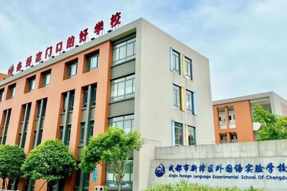 新津45个教师岗位,诚邀你的加入!