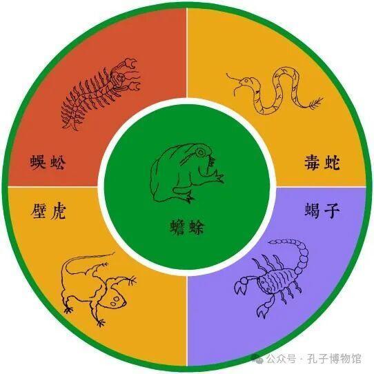 另外,还组织了孔子课堂社教,艾虎不织布开关贴制作体验等活动,赢得