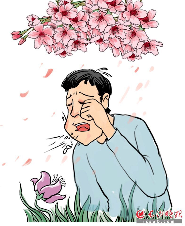 第一次接触花粉没事为何第二次却过敏了