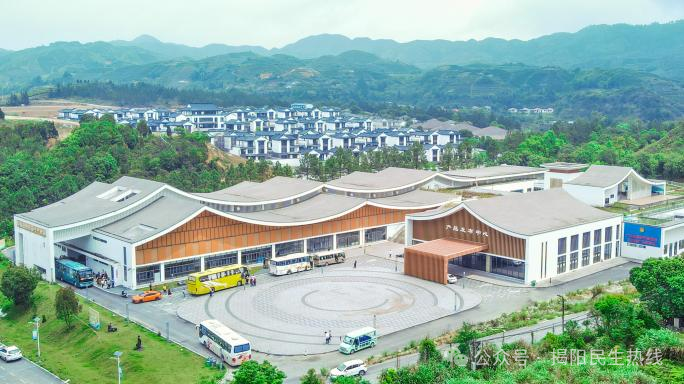 揭西大洋这款绿色叶子美名远扬