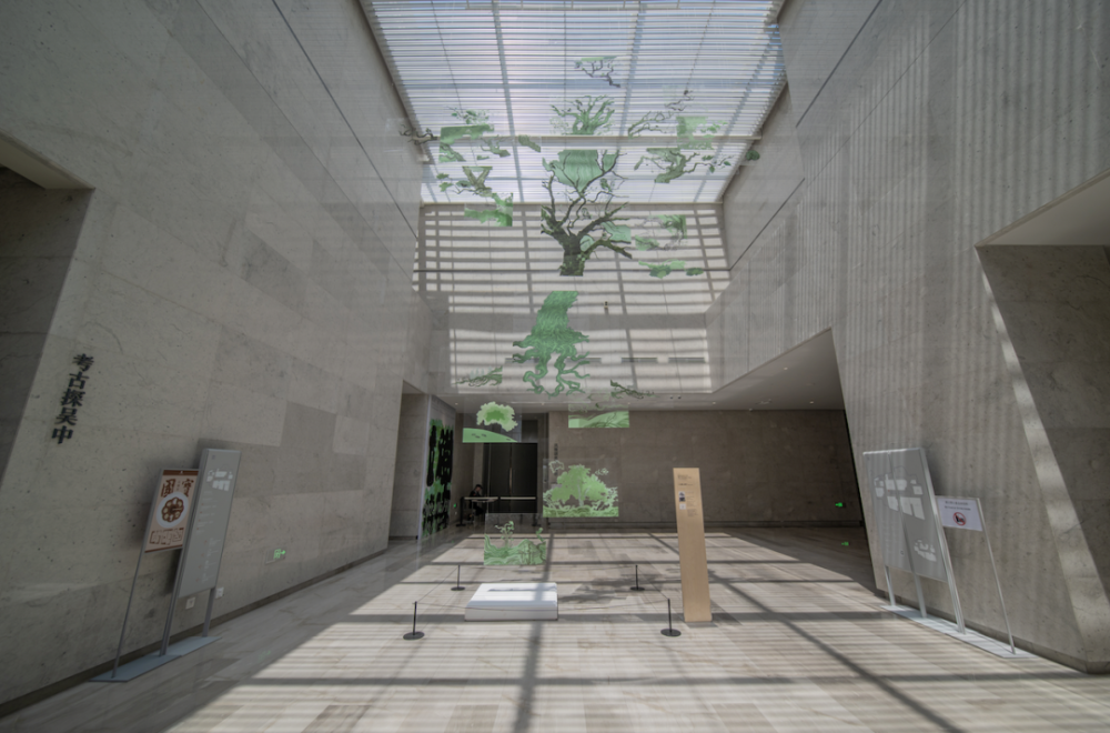 树碑立传——吴中古树名木的故事特展在吴文化博物馆开展_腾讯新闻