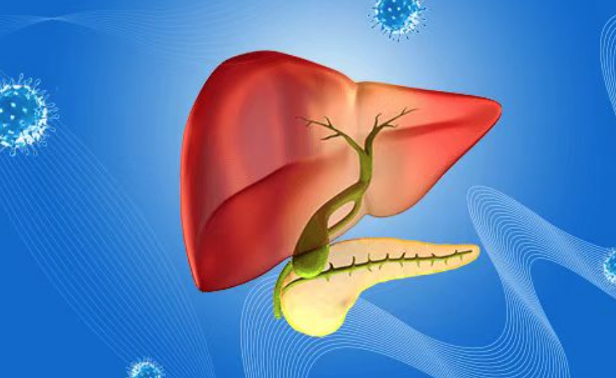 再取进展复旦大学附属中山医院浦宁刘亮团队癌王胰腺癌治疗新靶点