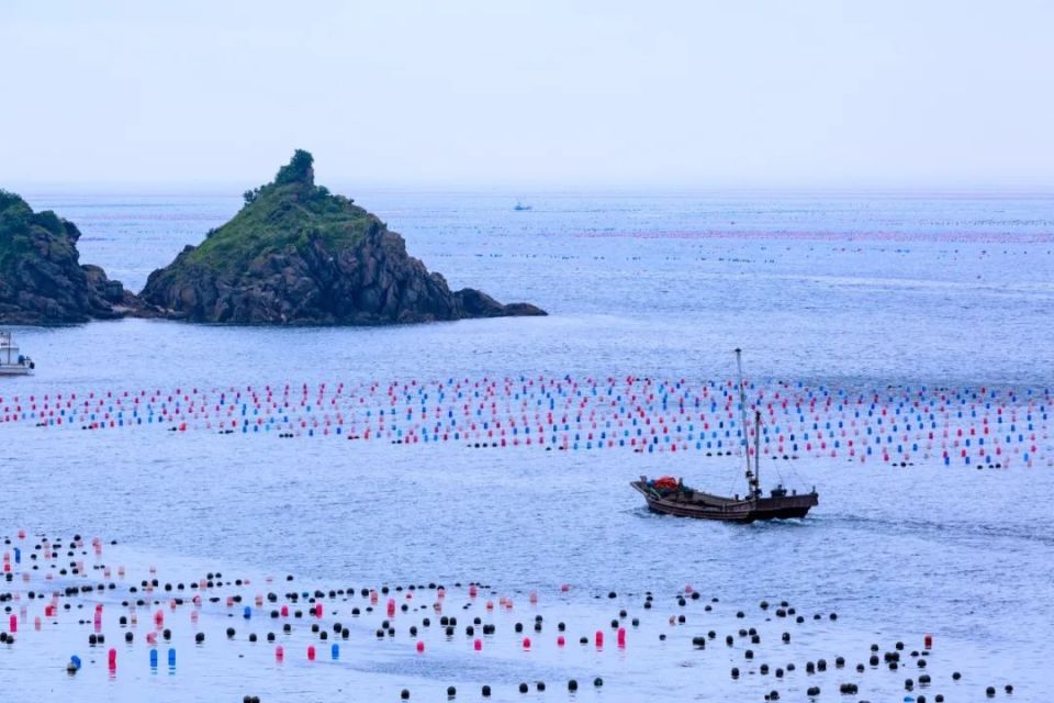 大连,一座被低估的海滨城市