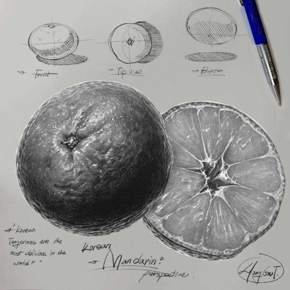 静物画 有手就够了，这20幅绘画过程图，让你看懂超写实素描-腾讯新闻