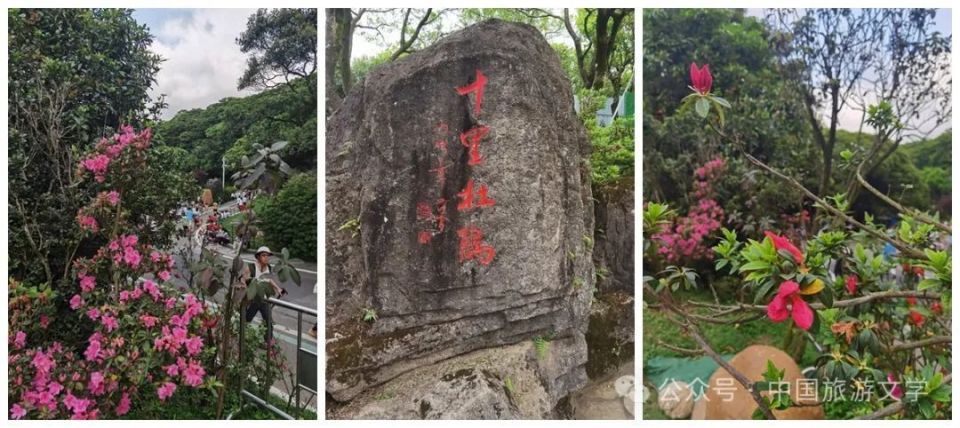 行走丨春登梧桐山