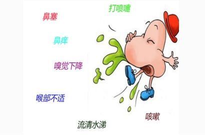 正确认识过敏性鼻炎