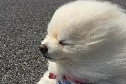 台—风—来—哩!闵行哪里雨最大?