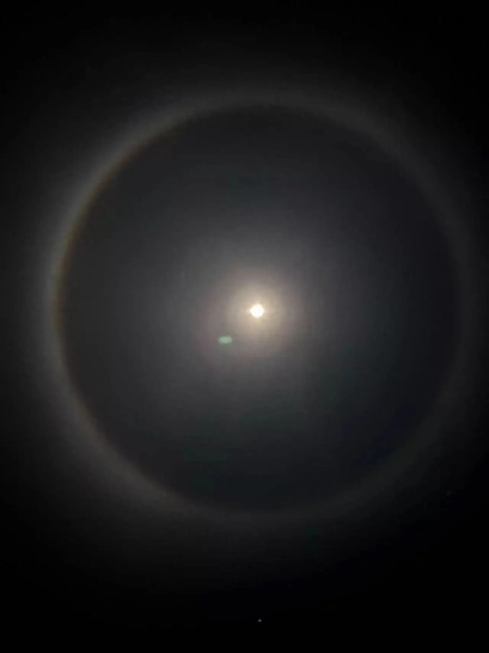 云南曲靖和丽江两地天际均闪现月晕自然奇观皎洁月亮浑圆如同太阳环绕