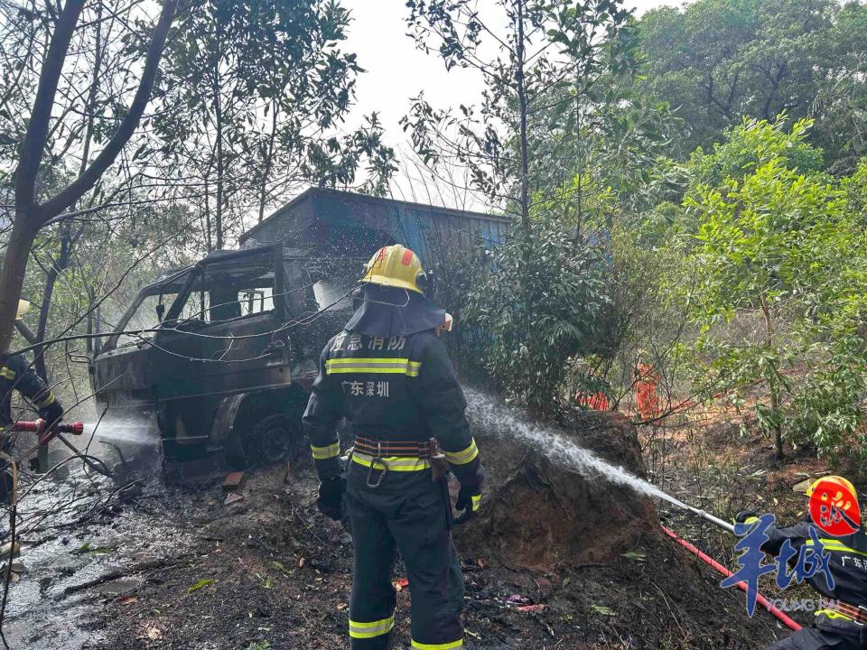 视频深圳南山一山坡突发火灾消防紧急处置
