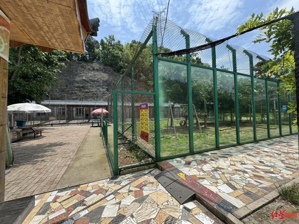 宜宾野生动物园给幼虎戴嘴套与游客合影引争议 实地探访:"与虎合照"