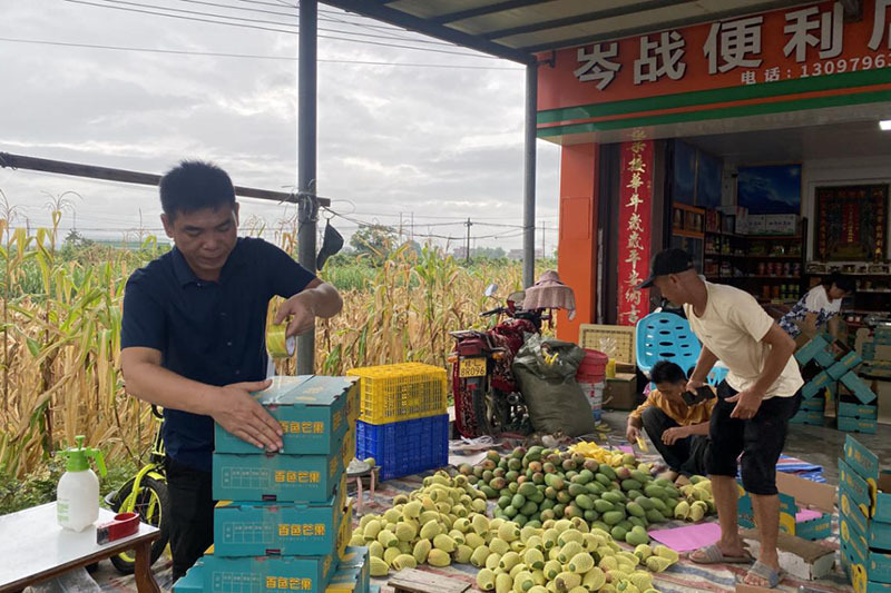 田东烟草专卖局的员工帮忙打包快件送往全国各地