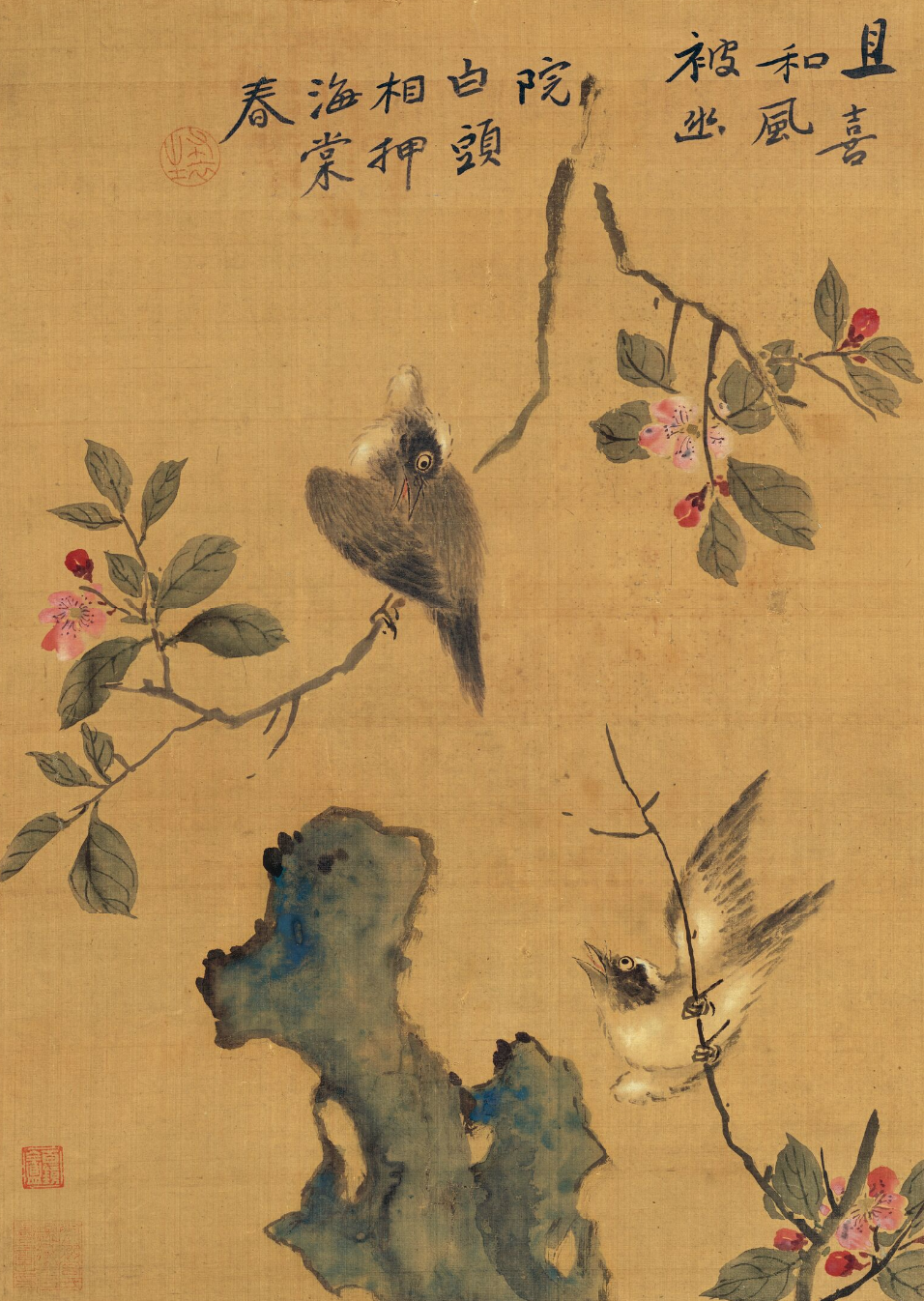 图片