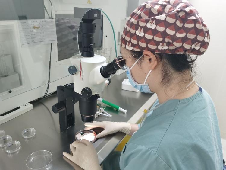 提速扩围!多地辅助生殖进医保托起"生育希望"