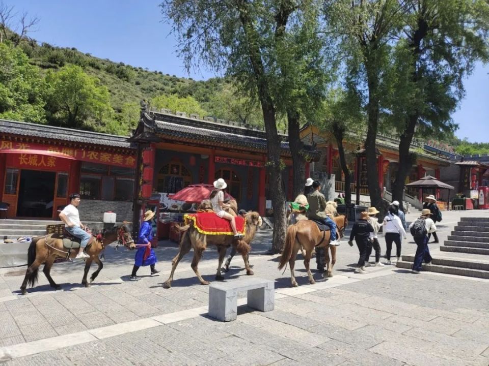 雁门关景区"交通出行"及"游览攻略"!
