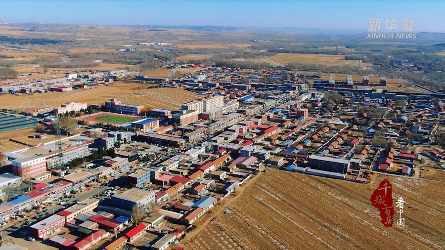 千城百县看中国内蒙古库伦大鹅出锅记