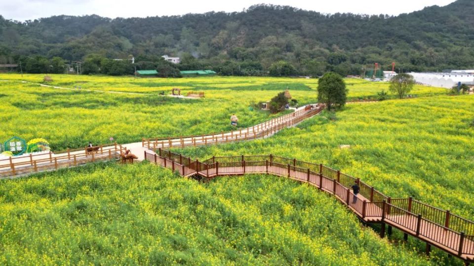 其中自然保护区7处,森林公园30处,湿地公园9处,风景名胜区1处,初步