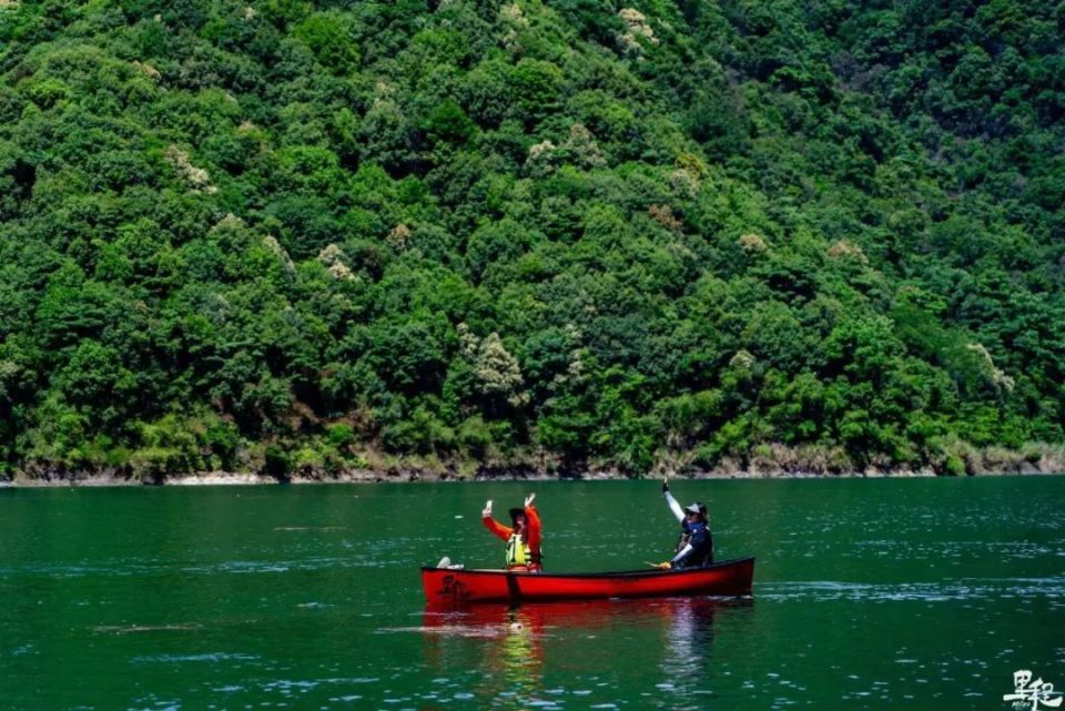 不跟你们卷了,我先划水了