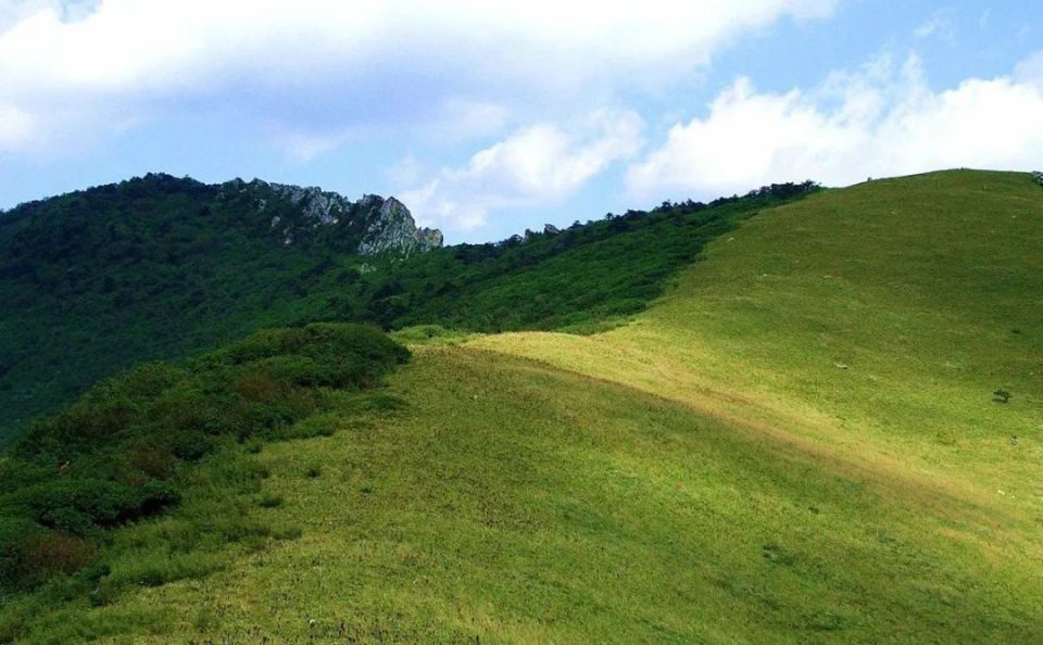 漫游秦楚古道 醉赏杜鹃花海
