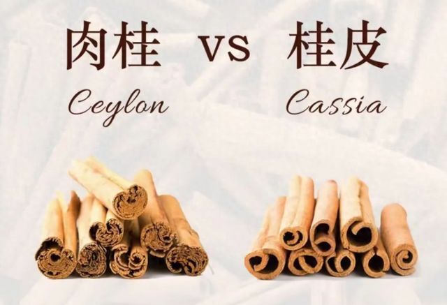 药食同源：肉桂 vs 桂皮，您分清了吗？_腾讯新闻