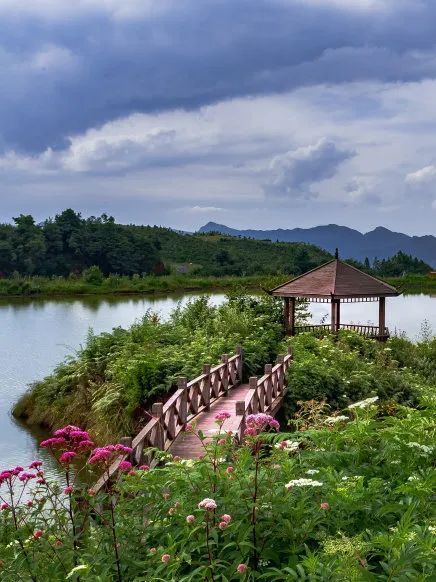 贵州野玉海风景区图片