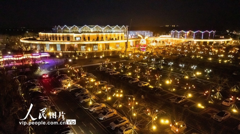 江苏沭阳:华东花木大世界夜景美