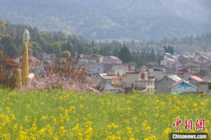 "醉美"赣鄱风景独好:江西莲花县山乡花盛开 万亩良田迎春耕_腾讯新闻