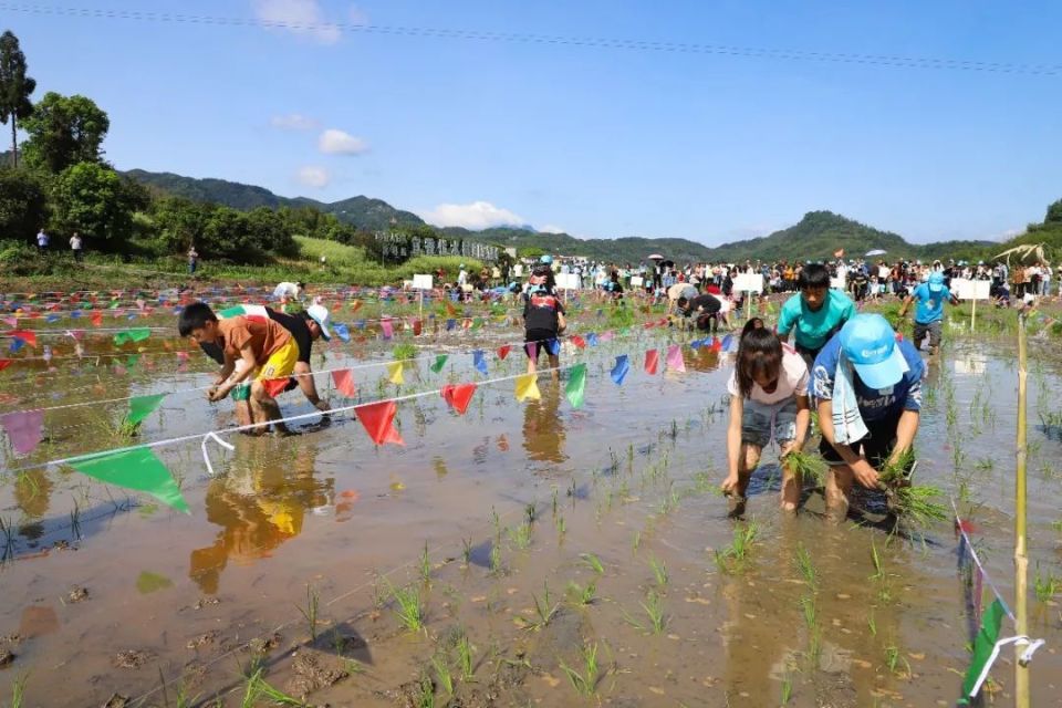 今天,僰王山这里热闹又好耍!