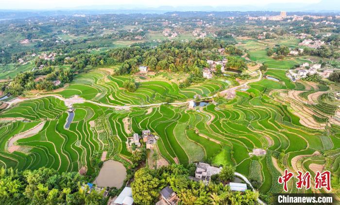 四川合江县简介图片