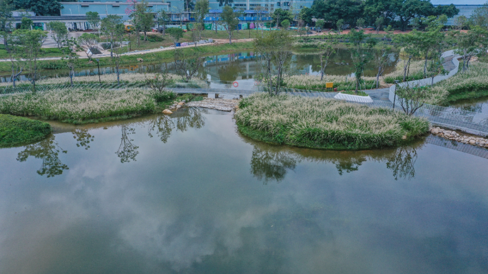 05蠔鄉湖公園碧道蠔鄉湖公園碧道位於深圳市寶安區沙井街道碧道長度1