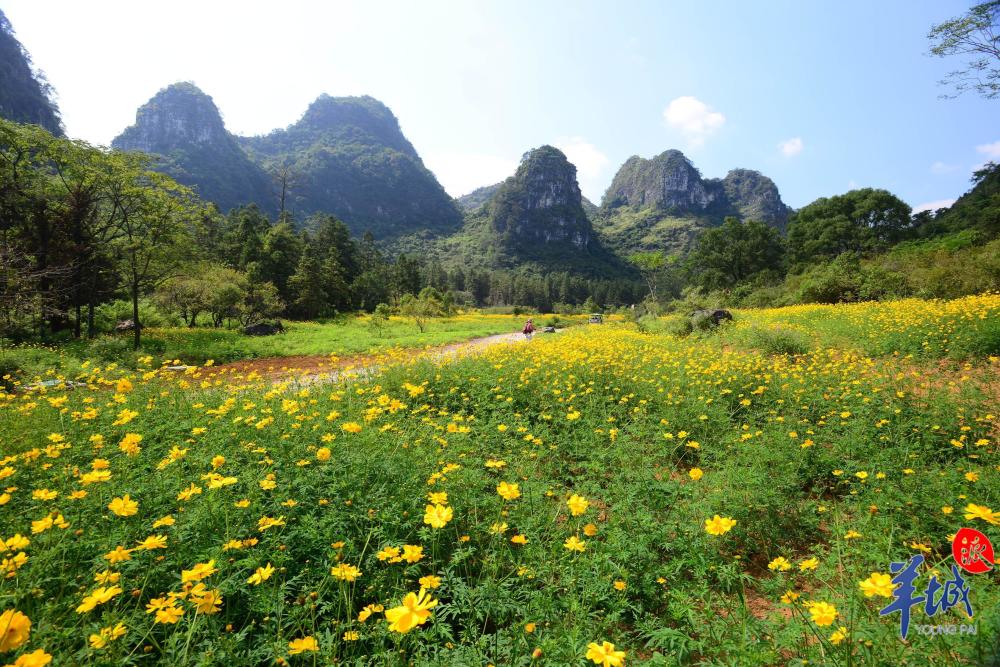 视频大美岭南肇庆怀集桥头镇忽逢桃源南歌声声