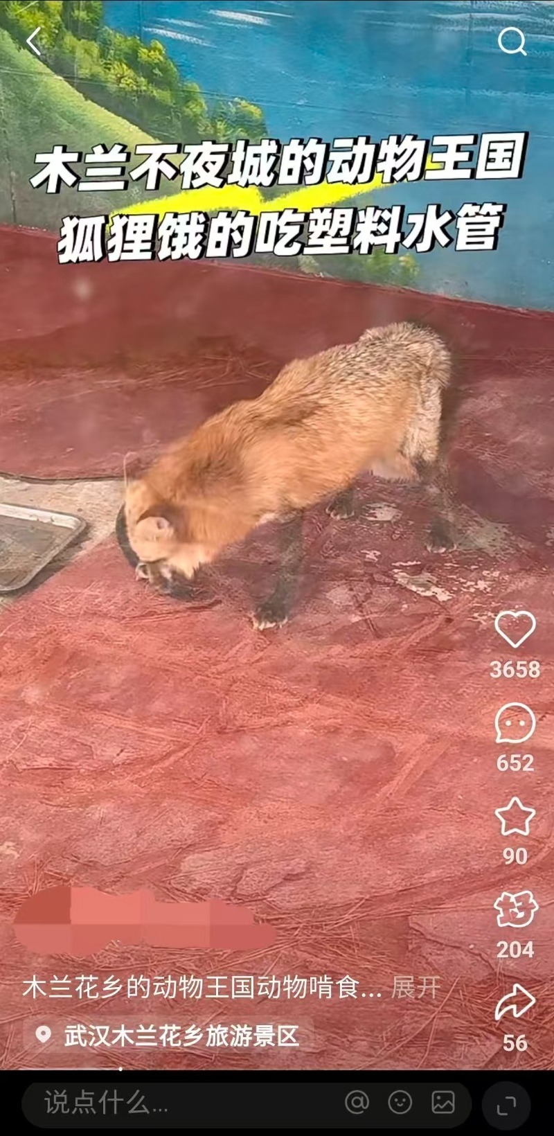 景区里的狐狸饿得啃食水管？武汉一地文旅局回应-腾讯新闻