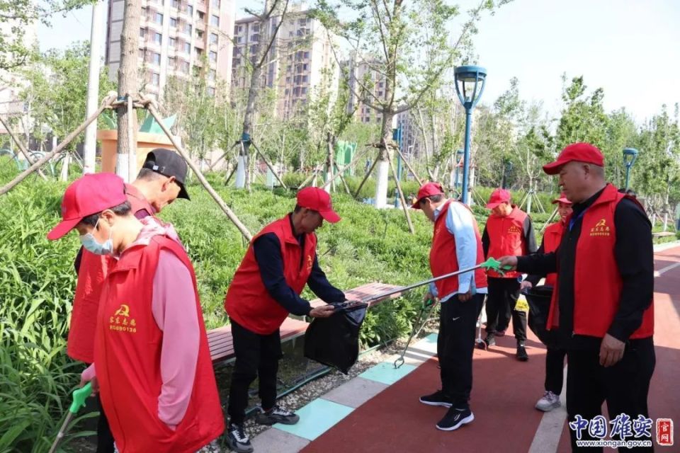 雄安故事汇丨雄安有一支"宝藏"志愿者团队