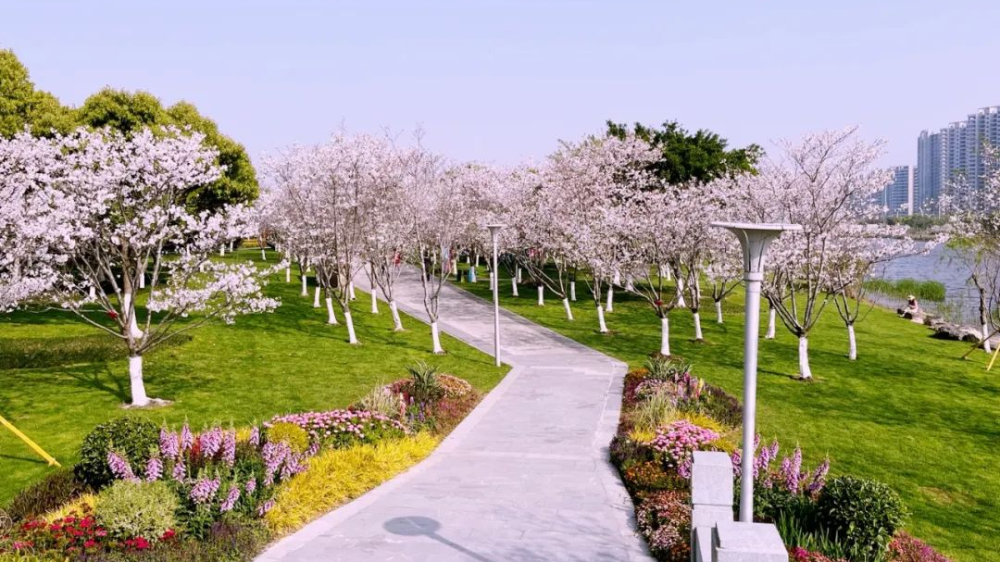 在公园发呆放空,晒晒阳光浴欣赏花草树木在公园小憩一会儿把公园看作