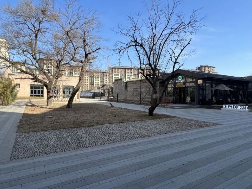 雄安之妙：聚，“雄才会客”暖意浓